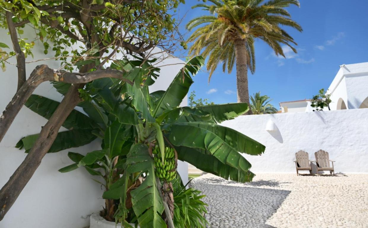 شقة Mauresque Experience Luxury توريمولينوس المظهر الخارجي الصورة